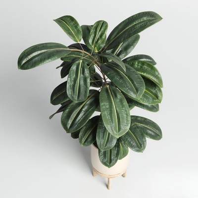现代绿植盆景-24